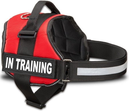Industrial Puppy In Training Dog Harness