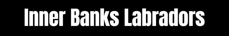 Inner Banks Labradors logo
