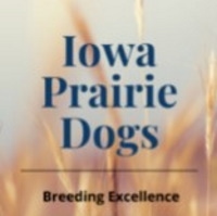 Iowa prairie dogs logo