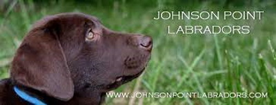 Johnson point labradors logo