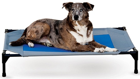 K&H Pet Products Coolin’ Pet Cot Elevated Pet Bed