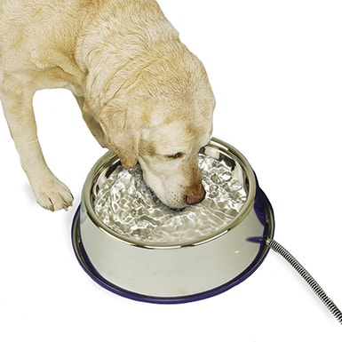 K&H Pet Products Thermal-Bowl Stainless Steel Dog & Cat Bowl