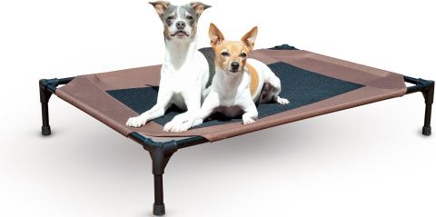 K&H dog bed_Chewy