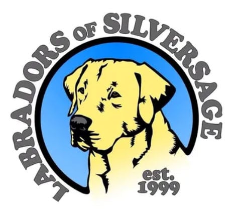 Labradors of Silvesage logo
