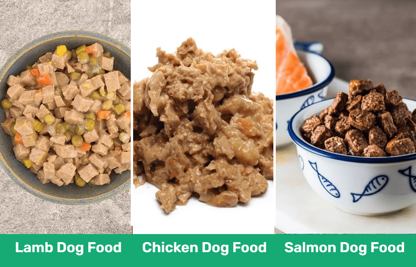 Lamb vs chicken vs salmon dog food sbs1