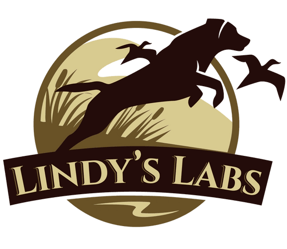 Lindy’s Labs logo