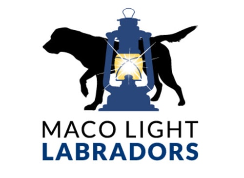 Maco Lights Labradors logo