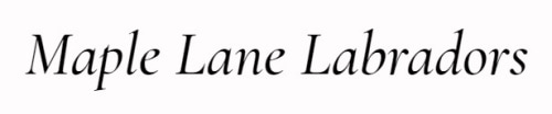 Maple lane labredors logo