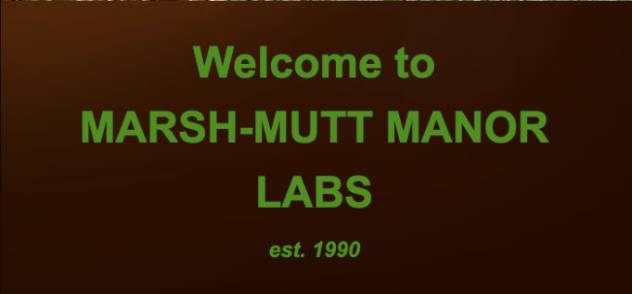 Marsh Mutt Manor Labradors