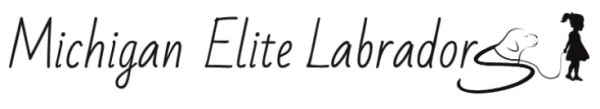 Michigan elite labrador logo