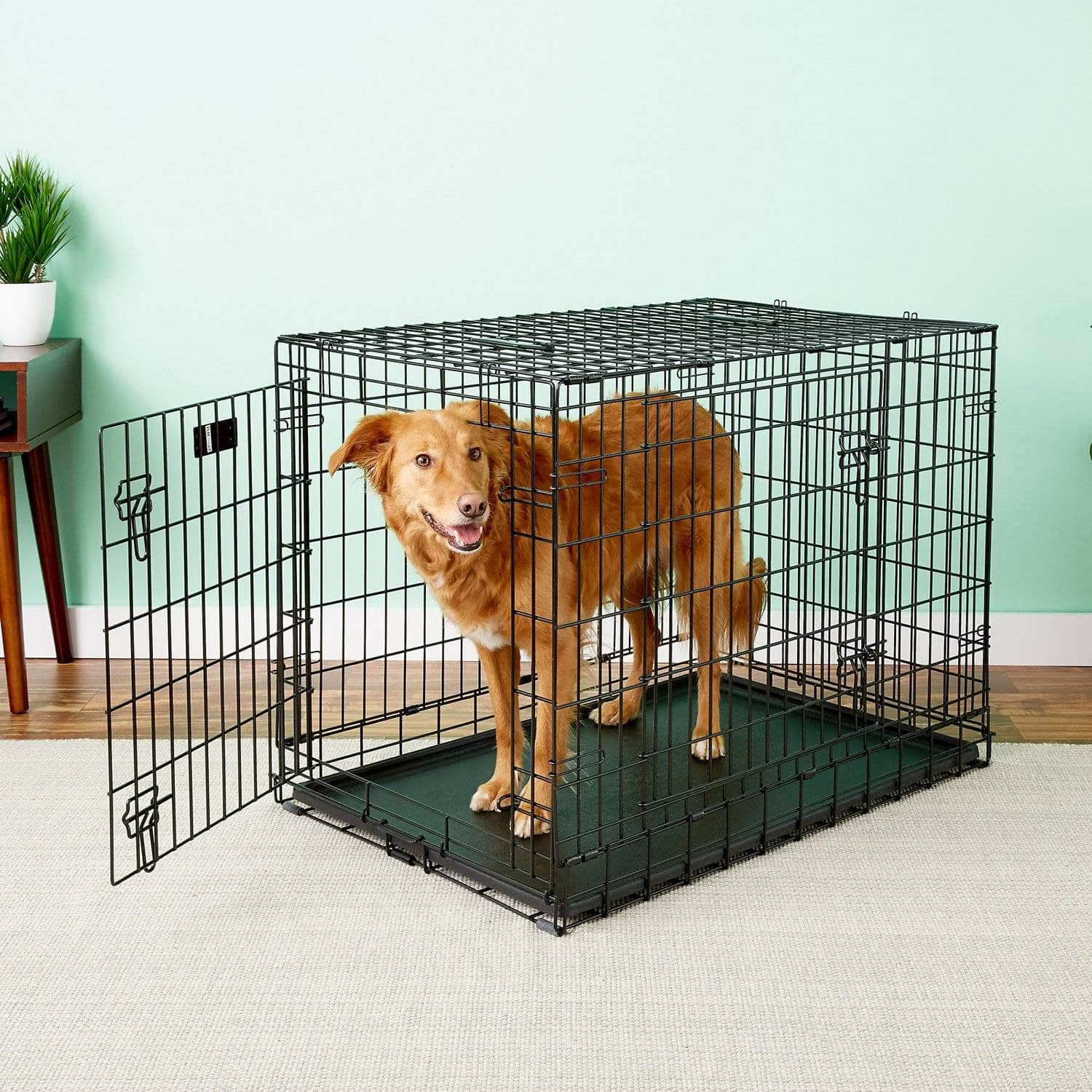 MidWest Ultimate Pro Collapsible Wire Dog Crate (1)