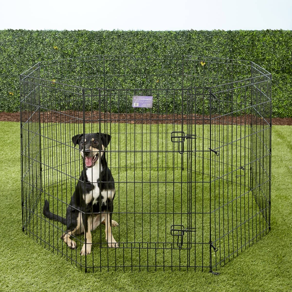 MidWest Wire Dog Exercise Pen with Step-Thru Door