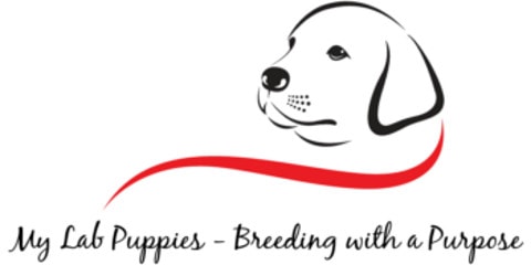 MyLabPuppies_Logo