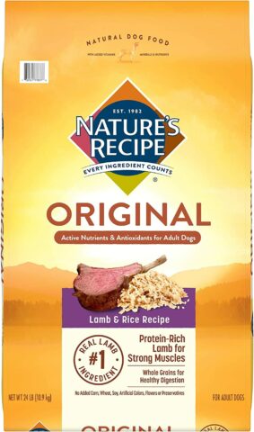 Nature's Recipe Adult Lamb & Rice Recipe Dry Dog Food