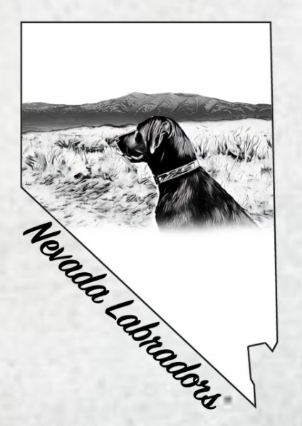 Nevada Labradors logo