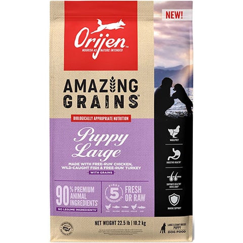 ORIJEN Amazing Grains Puppy Large Breed Dry Dog Food
