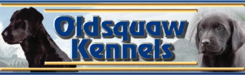 Oldsquaw kennels logo