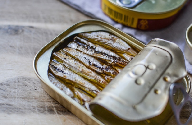Opened can of sardines