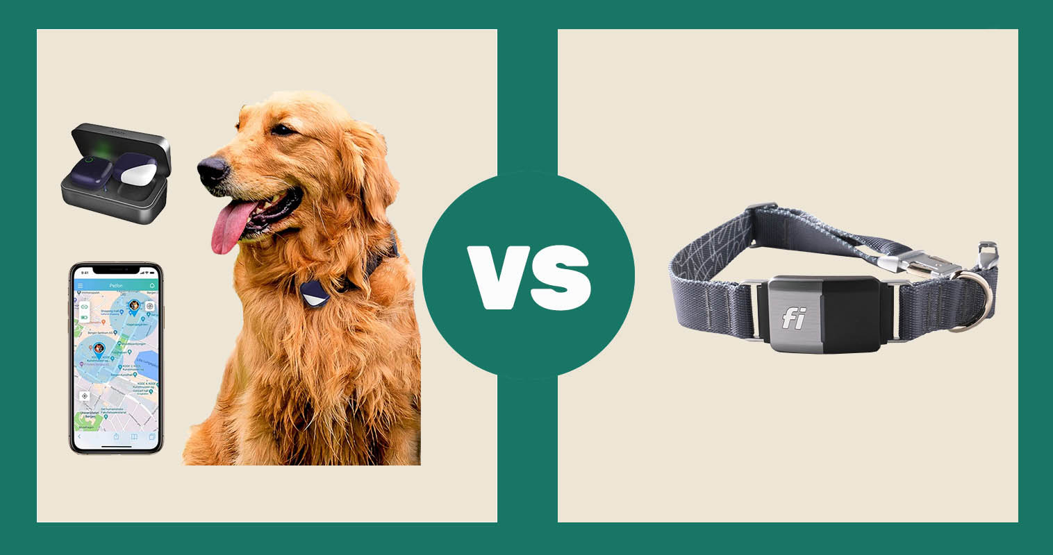 PETFON Pet GPS Tracker vs Fi Dog Collar