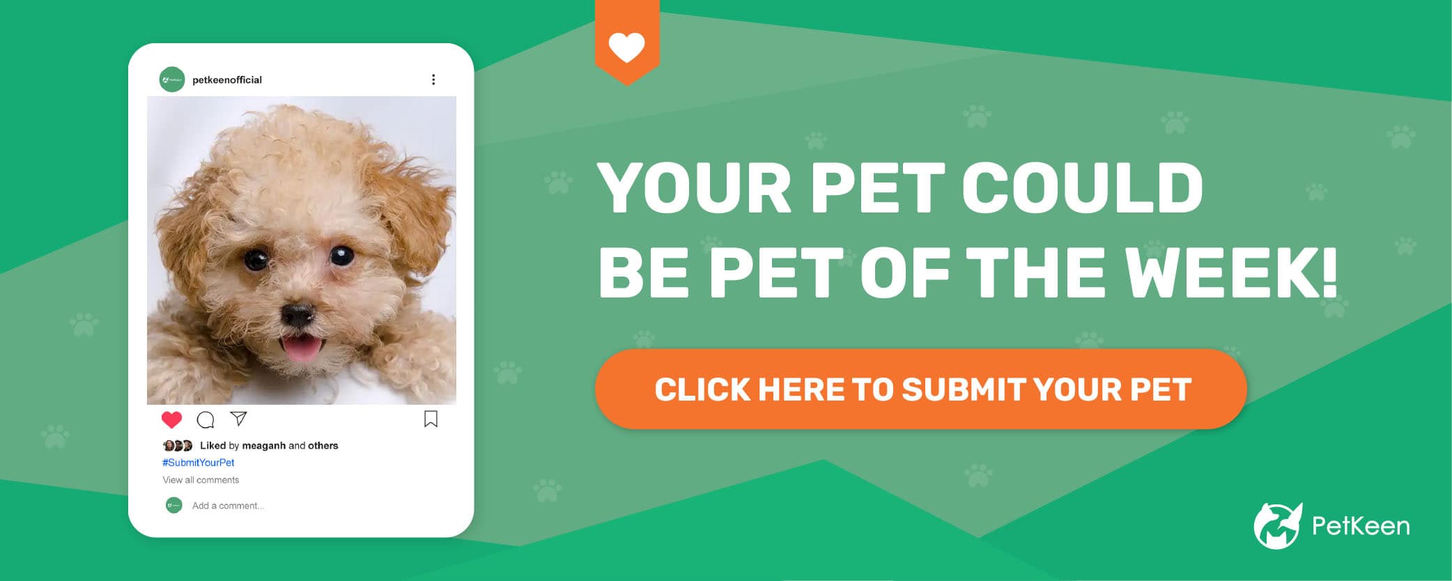 submit a pet pk dog