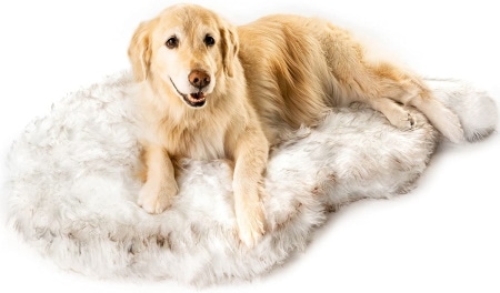 Paw Brands Puprug Orthopedic Dog Bed