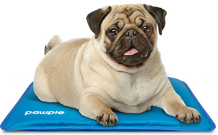 Pawple Dog Cooling Mat Small