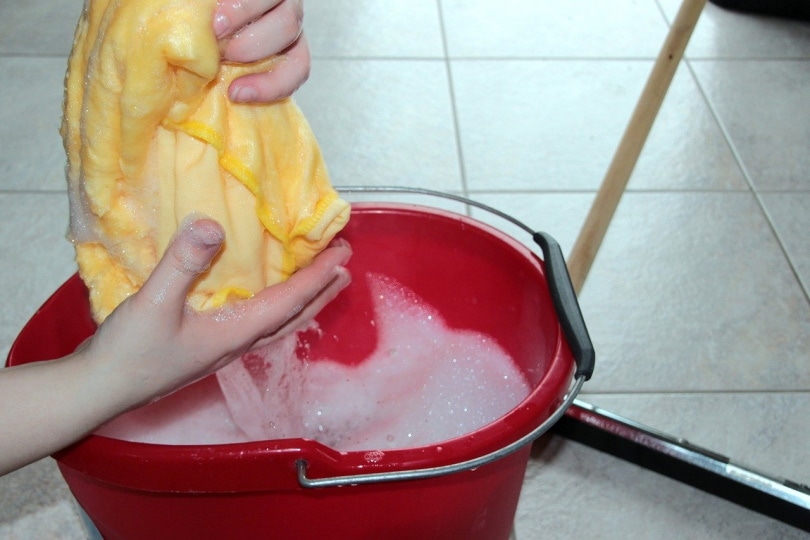 Person rinsing wash cloth in bucket