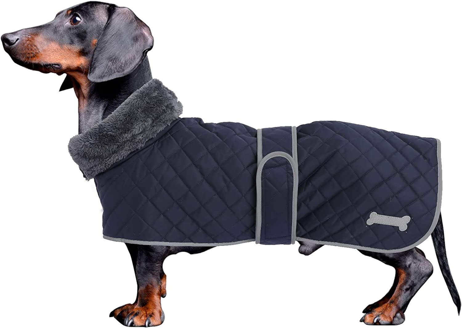 Personalised Dachshund Dog Coats Sausage Jacket Perfect