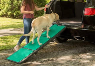 Pet Gear Tri-Fold Dog Car Ramp