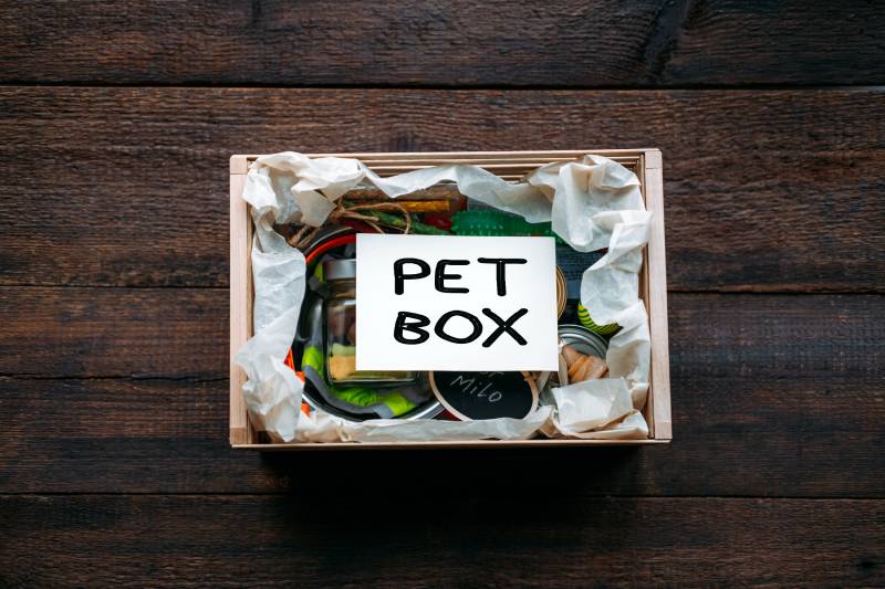 Pet Subscription Box for Dogs and Cats