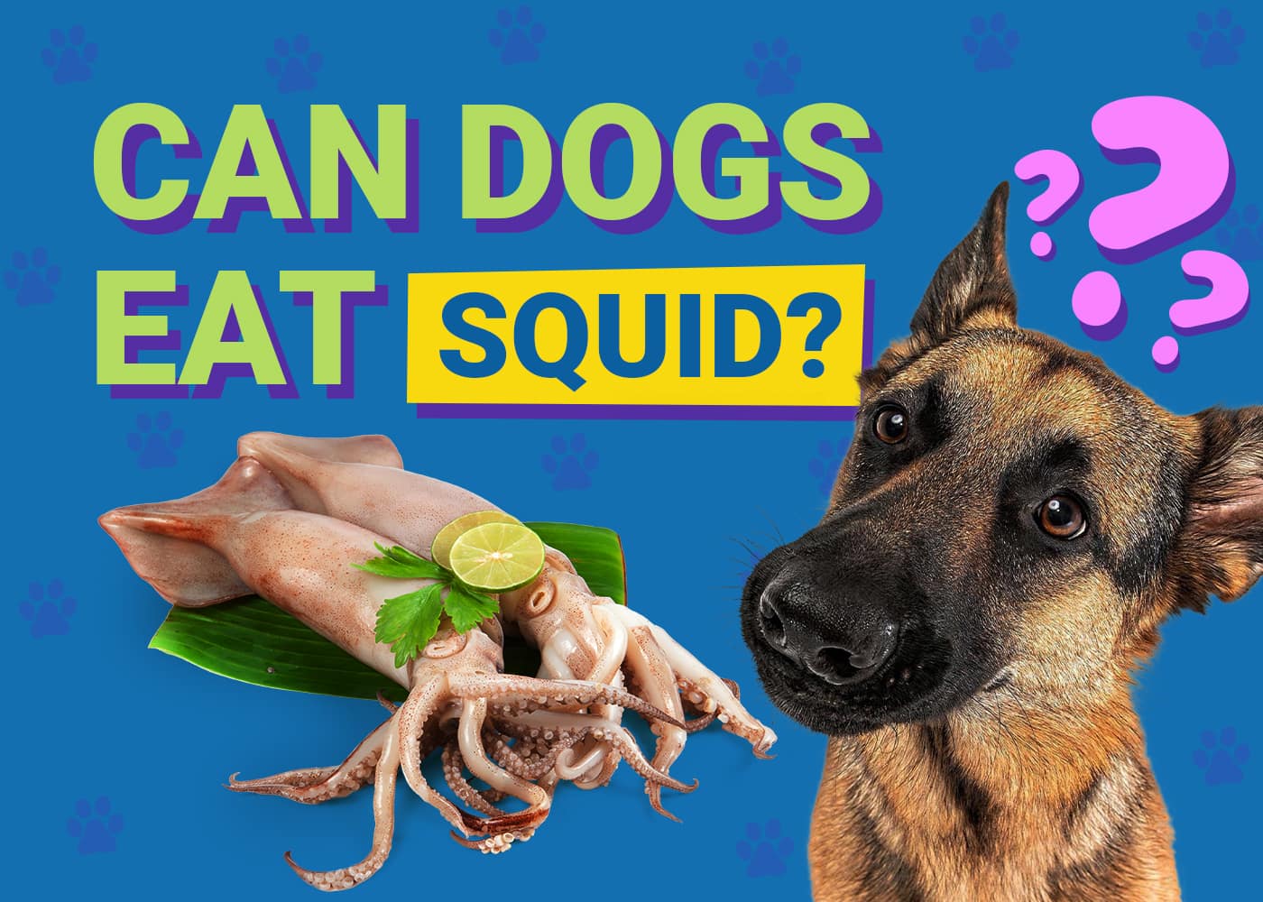 Can Dogs Eat Fish? A Guide to Fish for Dogs