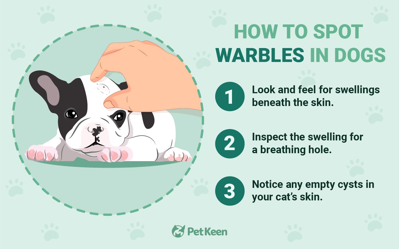 PetKeen_How to Identify Botflies (Warbles) in Dogs