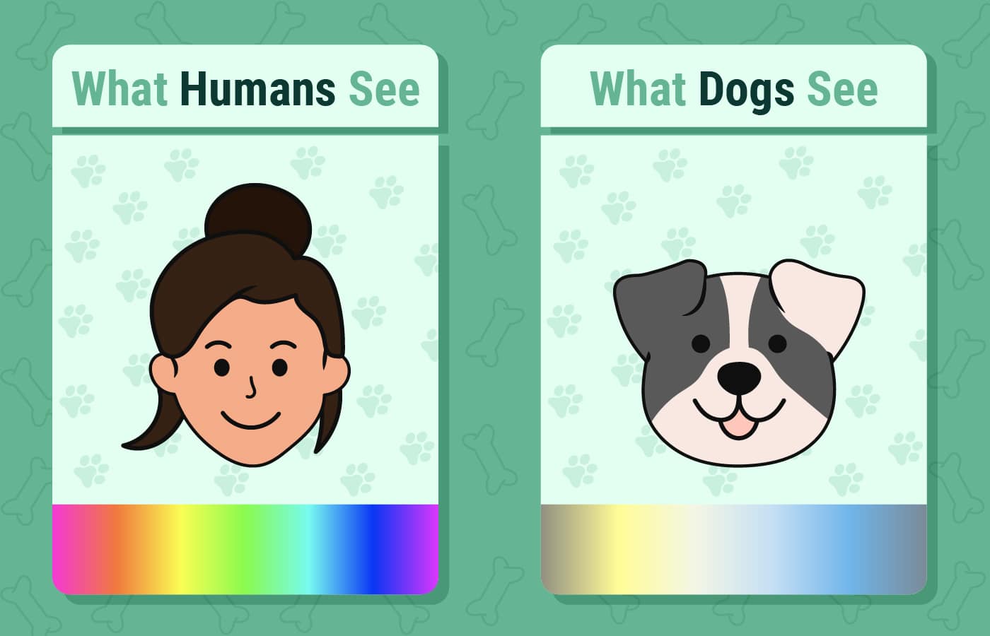 PetKeen_What Dogs See VS What Humans See_Infographic_v3_Apr 28 2023 (1)