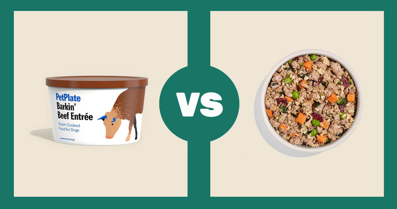 PetPlate-Fresh-Dog-Food-Barkin-Beef-vs-Spot-and-Tango-Dog-Food-Beef-Millet