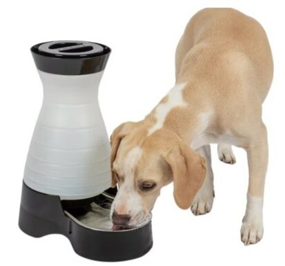 PetSafe Healthy Gravity Refill Dog & Cat Waterer