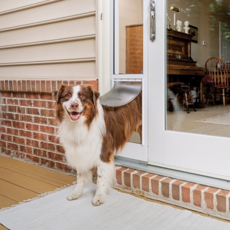 PetSafe Sliding Glass Pet Door
