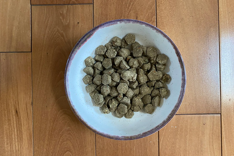 Petaluma’s Roasted Peanut Butter & Sweet Potato Flavor dog food in a bowl
