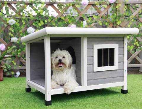 Petsfit Outdoor Wooden Doghouse for Small Dogs