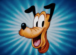 Pluto Dog Close Up