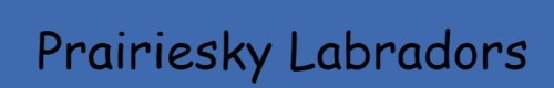 Prairiesky labradors logo