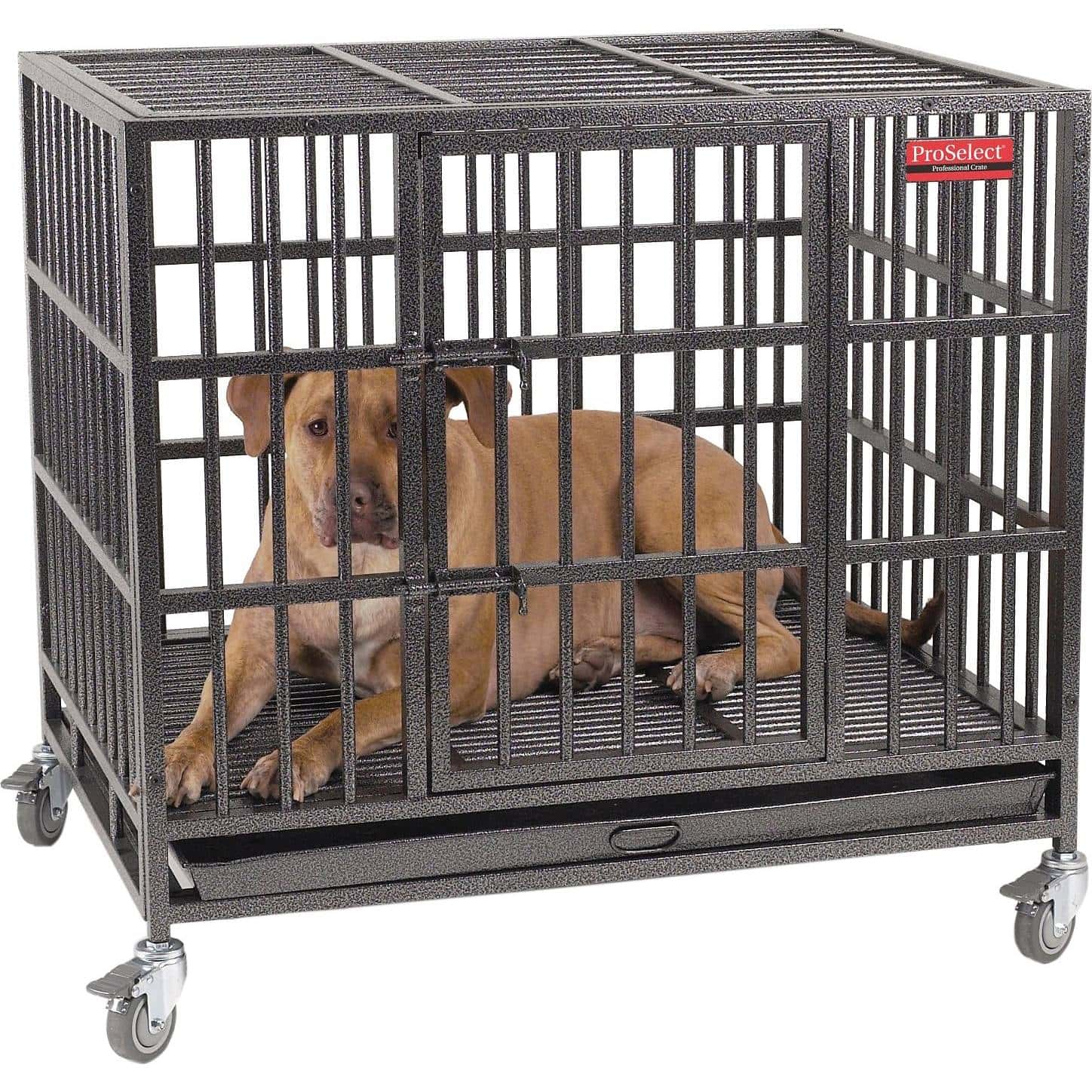 ProSelect Empire Single Door Steel Dog Crate (1)