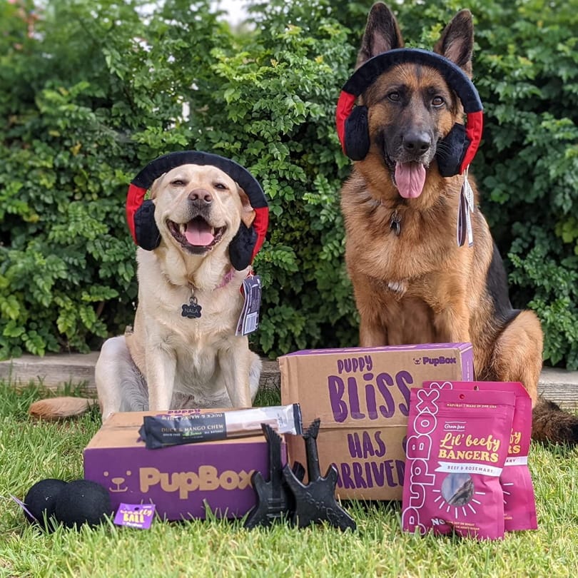 PupBox Monthly Subscription