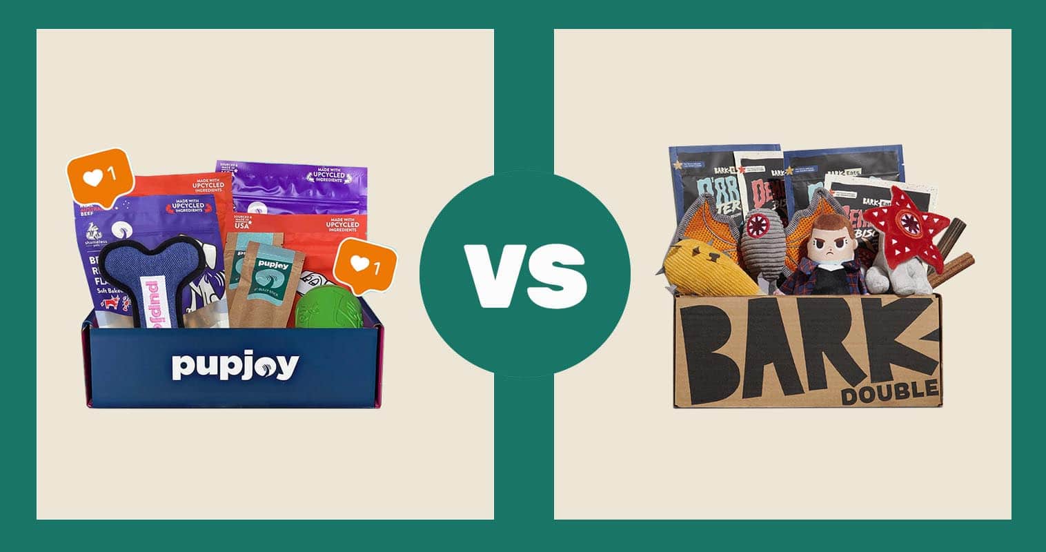 PupJoy Eco-Friendly Goodie Box vs BarkBox