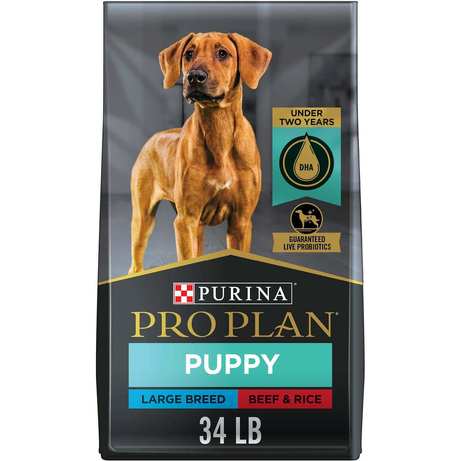 Purina Pro Plan Development Beef & Rice Formula Dry Puppy Food (1)