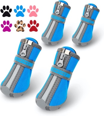 QUMY Dog Shoes for Small Dogs