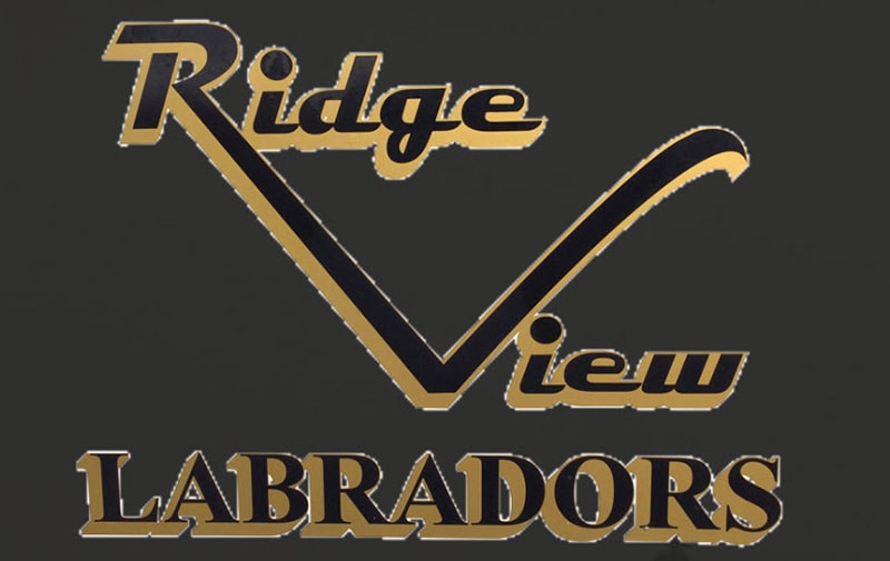Ridge View Labradors logo