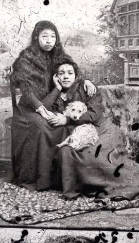 salish wool dog breed in old photo