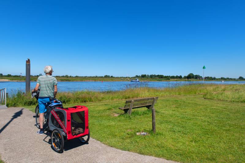 Senior man waiting with his dog for the bicycle ferry near Dutch river