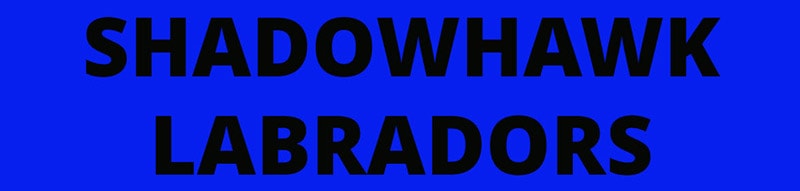 Shadowhawk Labrador Retrievers logo