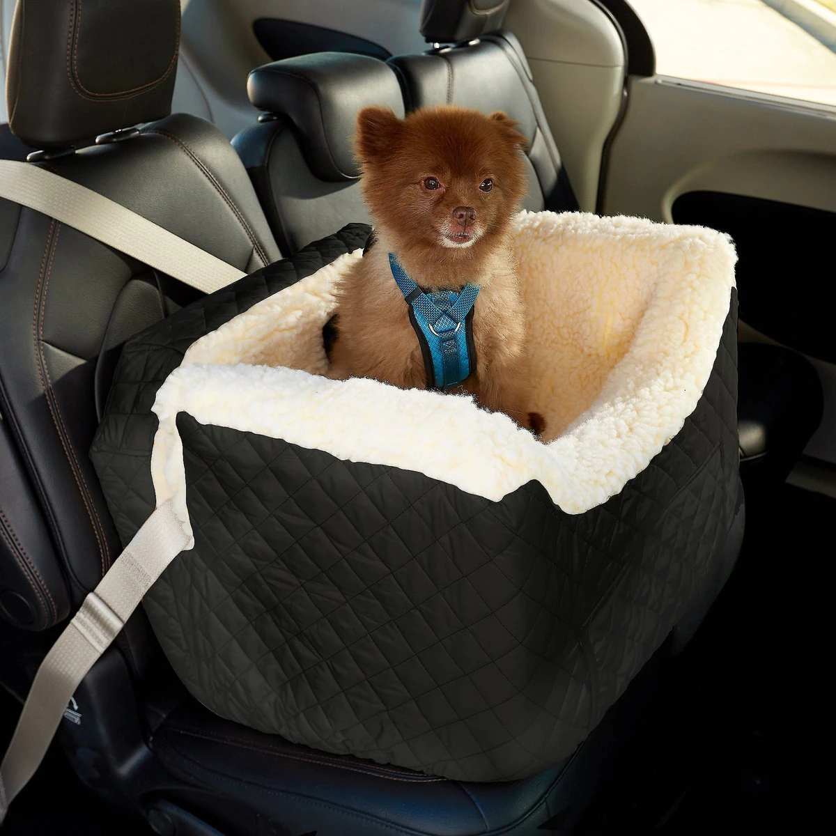 Snoozer Pet Products Lookout II Dog & Cat Car Seat